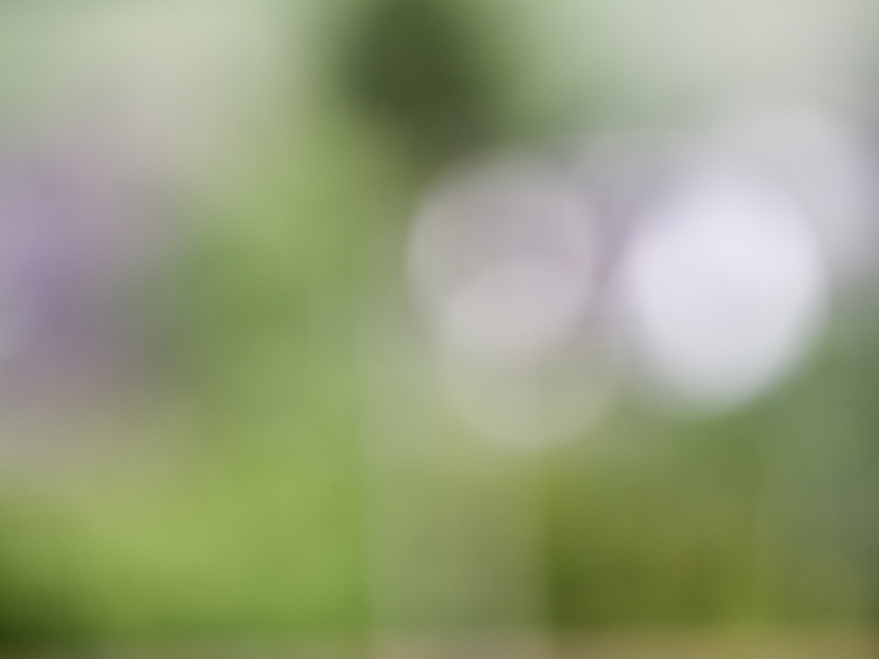 <h2>Captions 1</h2>
<h3>Lorem ipsum vel ea denique propriae suavitate, consul probatus eleifend usu in, dolore nonumy offendit ius ut. Ei assentior disputando nam, eu pro blandit phaedrum</h3>